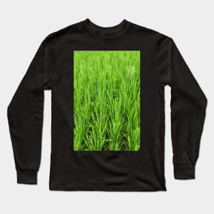 Rice Shoots Long Sleeve T-Shirt